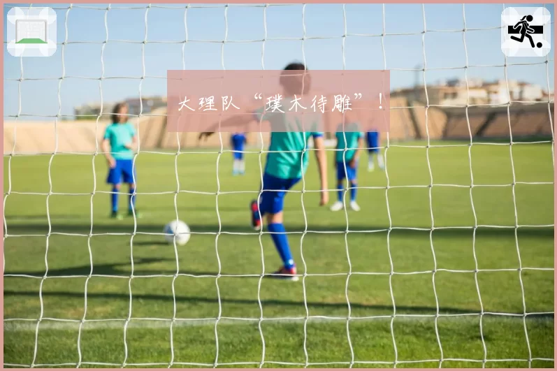 大理队“璞木待雕”！