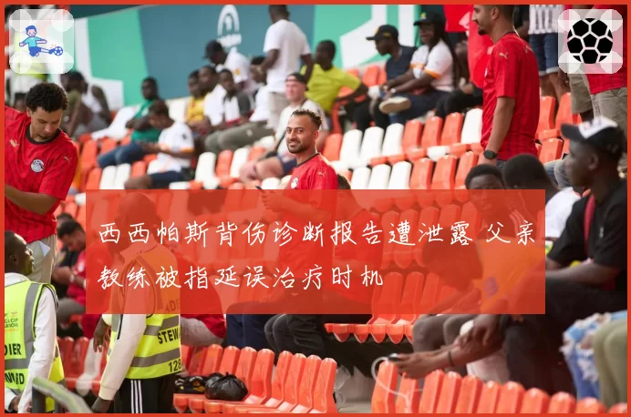 西西帕斯背伤诊断报告遭泄露 父亲教练被指延误治疗时机