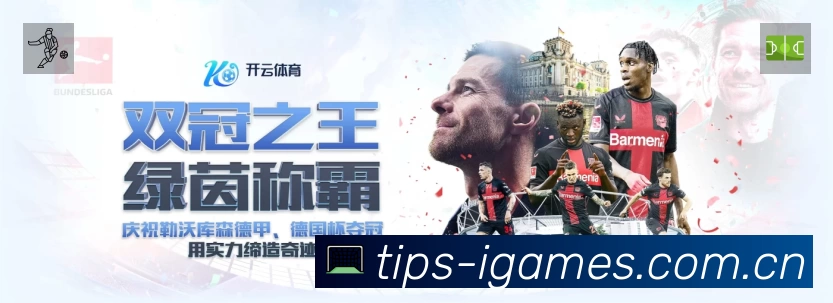 爱游戏安全运营支持